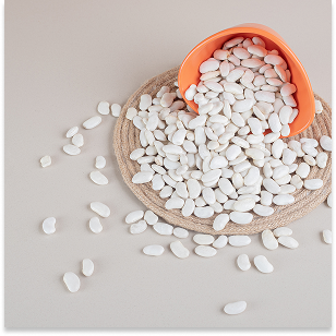white-beans-inside-bowl-concrete 2 (1)